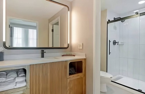 Downtown Tampa Hotel | Unwind in Style: Experience Downtown Tampa's Finest Stay! 3 Rooms