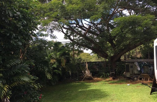 Pukalani House | Up Country spacious Newly remodeled kitchen close to beach, airport, UpCountry