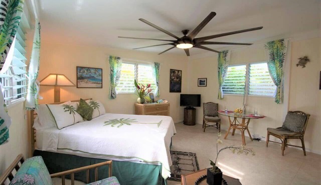 Affordable Island Getaway with private yard