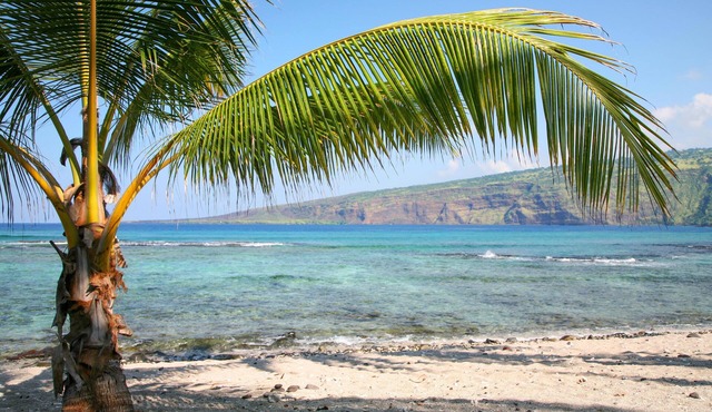 Ainamalu at Waikoloa Beach Resort