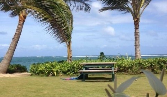 An Absolute, Perfect Paradise and Affordable