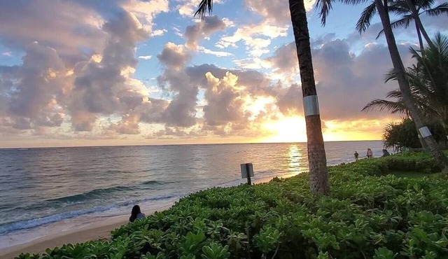 Beach Front Condo w/Beautiful Sunrises on Private Sandy Beach + Turtles + Perfect Snorkel Spot