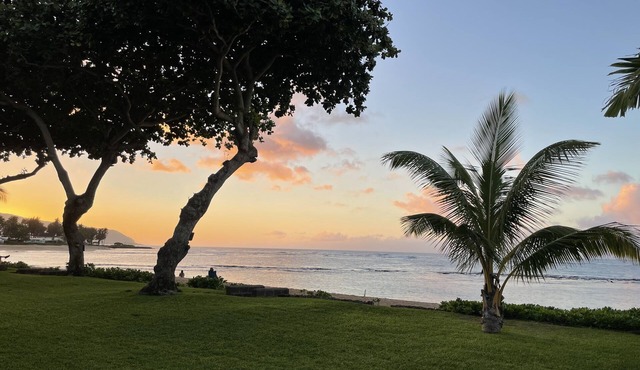 Beachfront top-floor unit on Oahu's north shore!