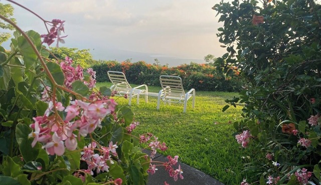 Belle Vue Kona B&B Rose Garden Suite - Breathtaking Views and Island Comfort