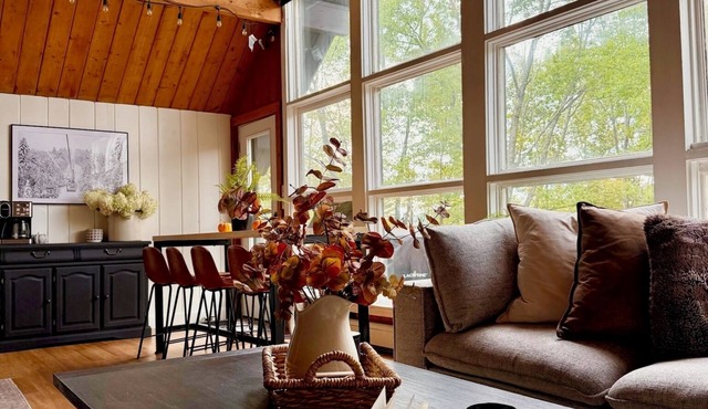 Black Dog Lodge - Ski Chalet centered between Okemo and Killington Mt.