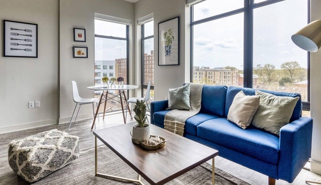 Charming 1BR in Arlington, Gym + Parking