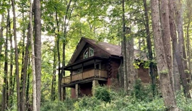 Cozy Forest Cabin Surrounded by Trees near Stone Mountain State Park, North Carolina
