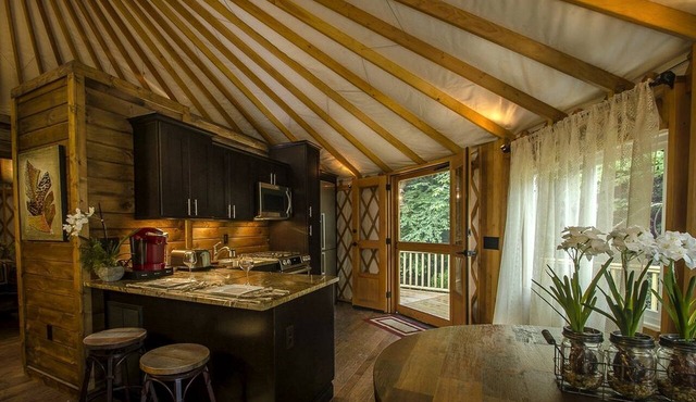 Creekside Secluded Yurt with Jacuzzi in Topton, North Carolina