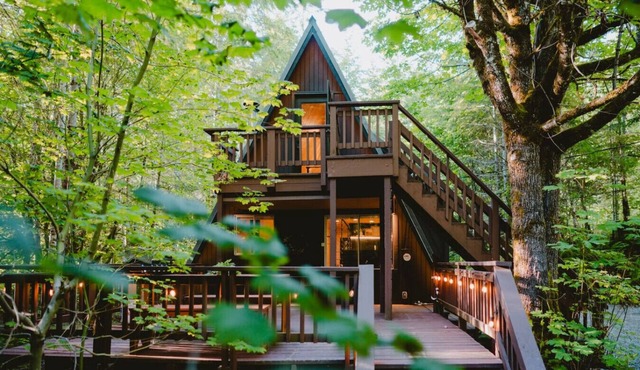 Designer A-Frame · Forest Hot Tub · Fire Pit