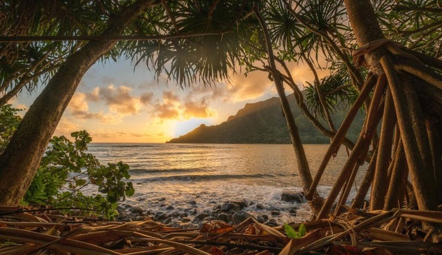 East Oahu Oceanfront Estate