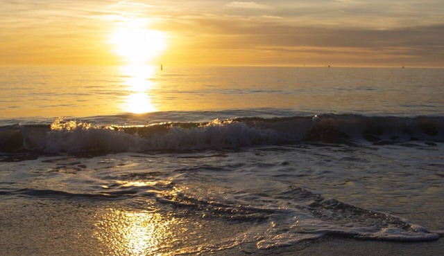 Family Reunion, Weddings, Group Celebrations - Beach Access, Near Dock & Kayak Launch + BBQ & Patios