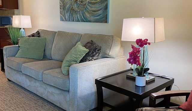 Gorgeous 1BR/2BA - Great Views & Reviews