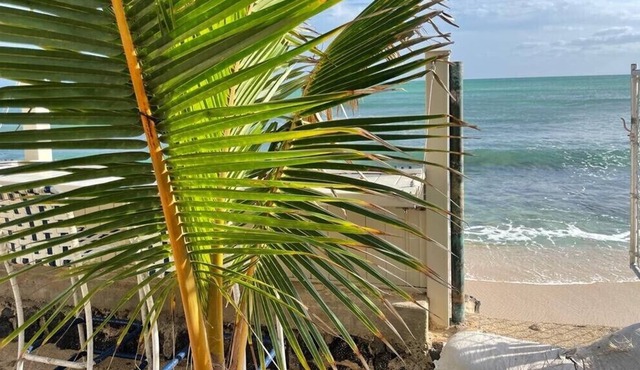 Hawaiian style 3b, 1bath ,WiFi, Free parking.