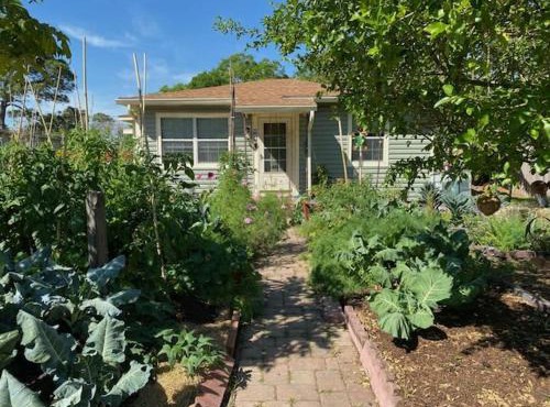 Ida's Garden