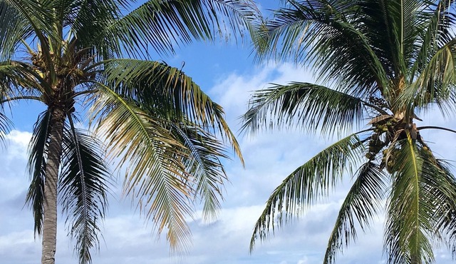 Kona Bayview Inn