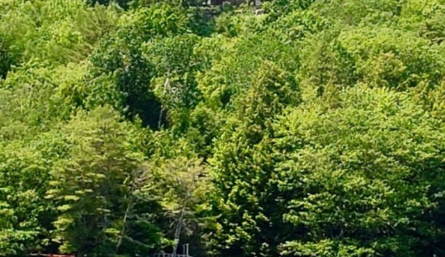 Large beautiful waterfront estate , very private in historic Wiscasset Maine