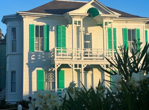 Lotus Galveston