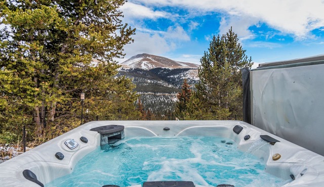 New! Mountain Top Chalet with Ho Tub, 20 miles from Breck! - Mount Bross Chalet