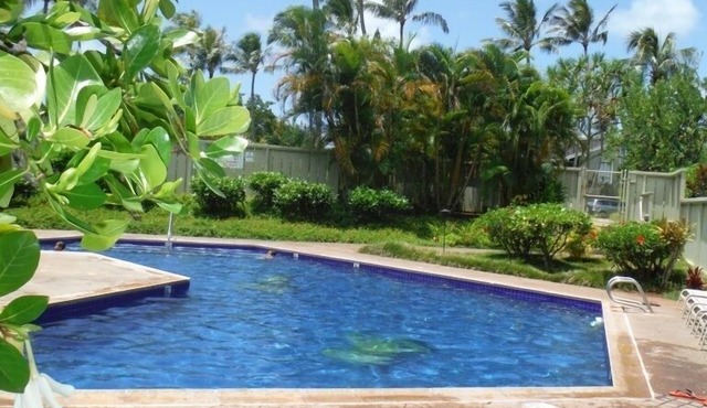 Newly Renovated Turtle Bay Condo! Enjoy All The North Shore Has To Offer!