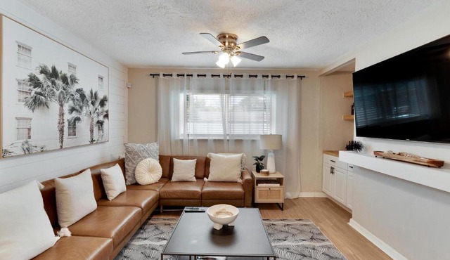 Newly Updated South Tampa Pool Home!