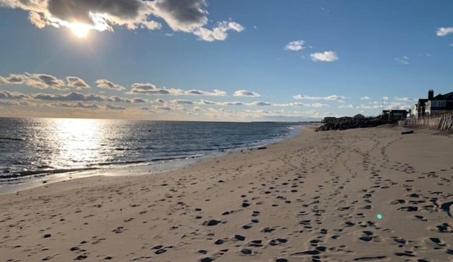 Oasis by the Beach