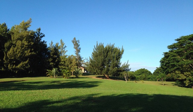 Peaceful & Private Studio - 12 Acre Hobby Organic Fruit Farm - Beach 10min