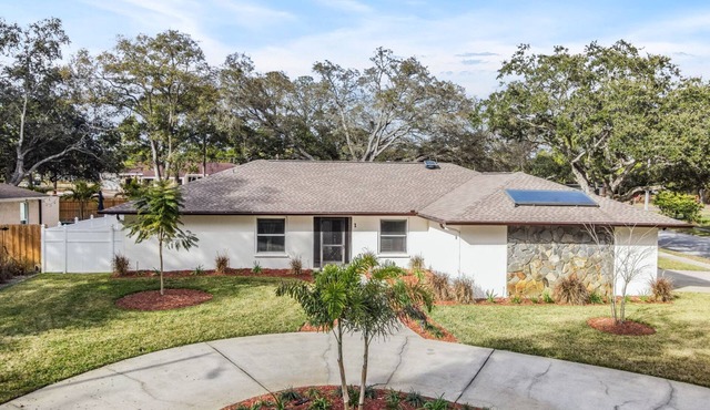 Safety Harbor Pool Home