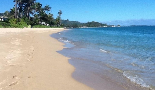 Seaside Paradise