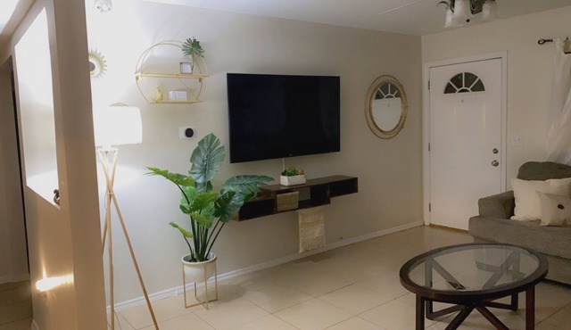 Serene Tampa Home 2 minutes from the Hard Rock Casino