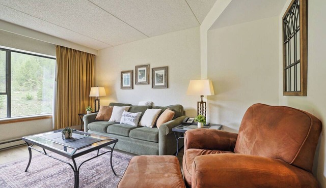 Ski In Ski Out Studio, Dog Friendly, Beaver Run, Building 4