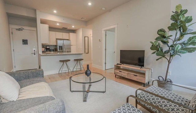 Stylish 1BR | Newbury St Boston
