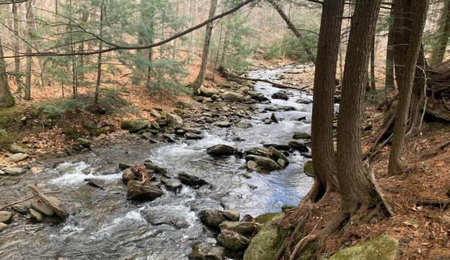 Summer in Vermont at Smugglers Notch - 20 minutes from Stowe