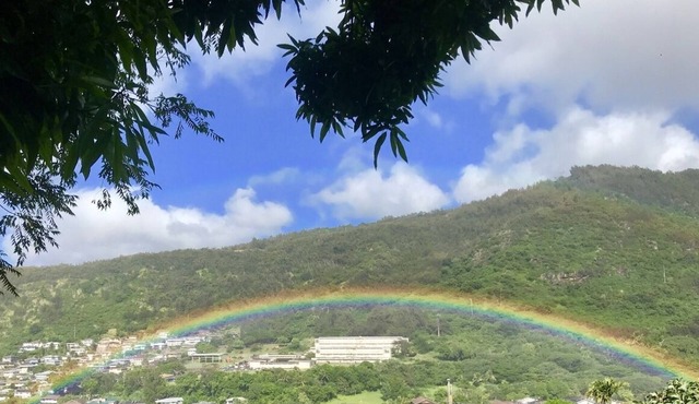 Top of the Hill. Honolulu 2 bedrooms beautiful Mountain View