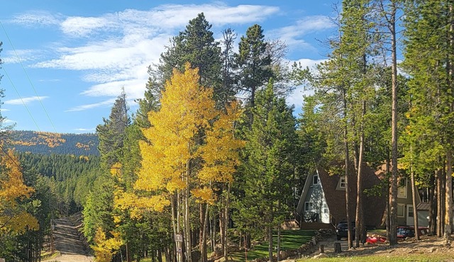 Tranquil & idyllic 3BR/2BA, A-Frame Cabin, w/WiFi in beautiful Evergreen,