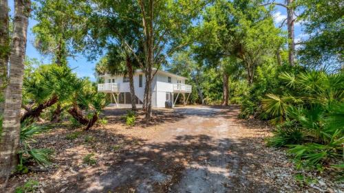 Treetop Cottage -