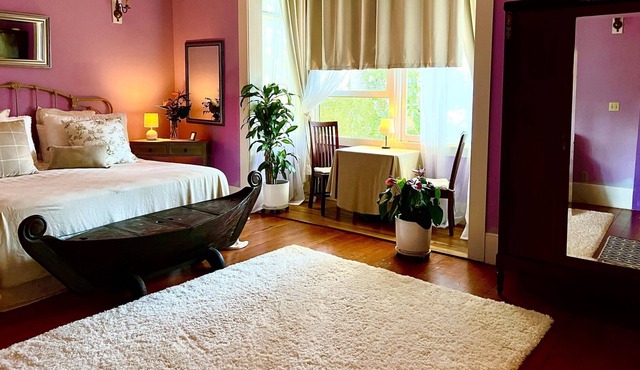 Vegan Palace Suite @ Aloha Boutique Hotel / Alchohol-free, smoke-free