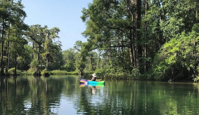 Wakulla River Retreat “Treehouse”- a nature lover’s paradise