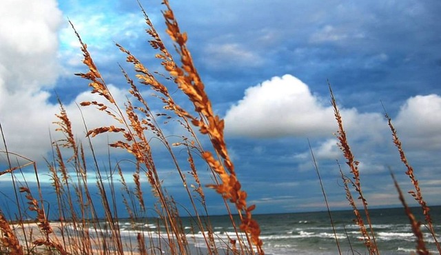 Winter in Historic Artsy Cottage on Fabulous Sunset Beach!