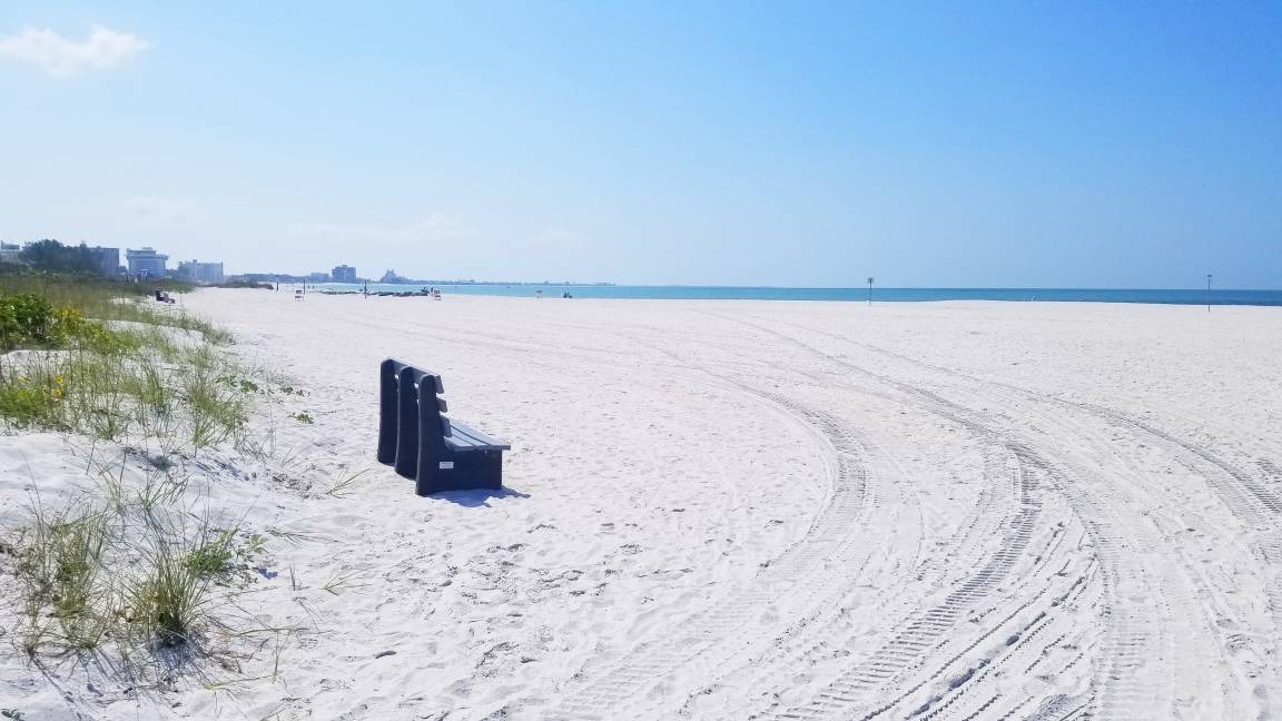 Photo of Others in St. Petersburg - Clearwater