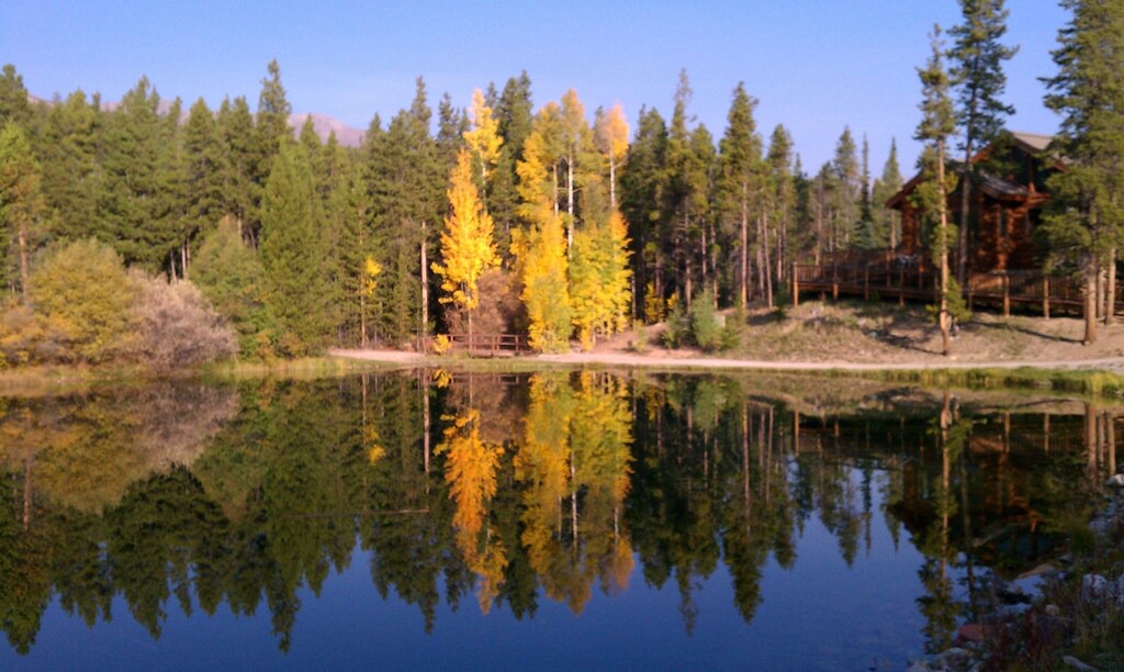 Photo of Outdoor in Four O'Clock