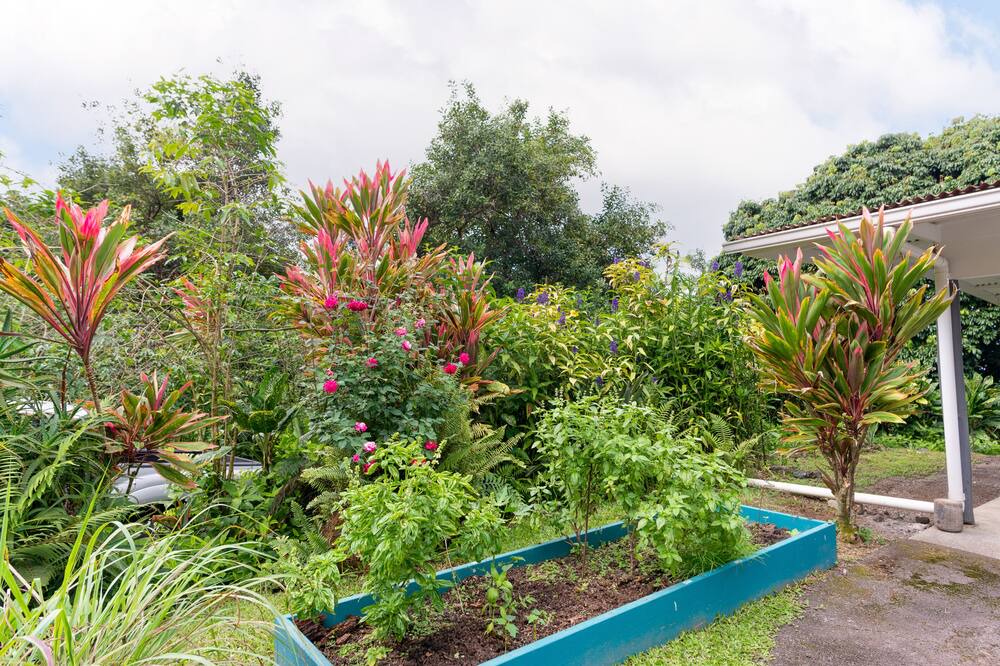 Photo of Others in Honaunau-Napoopoo