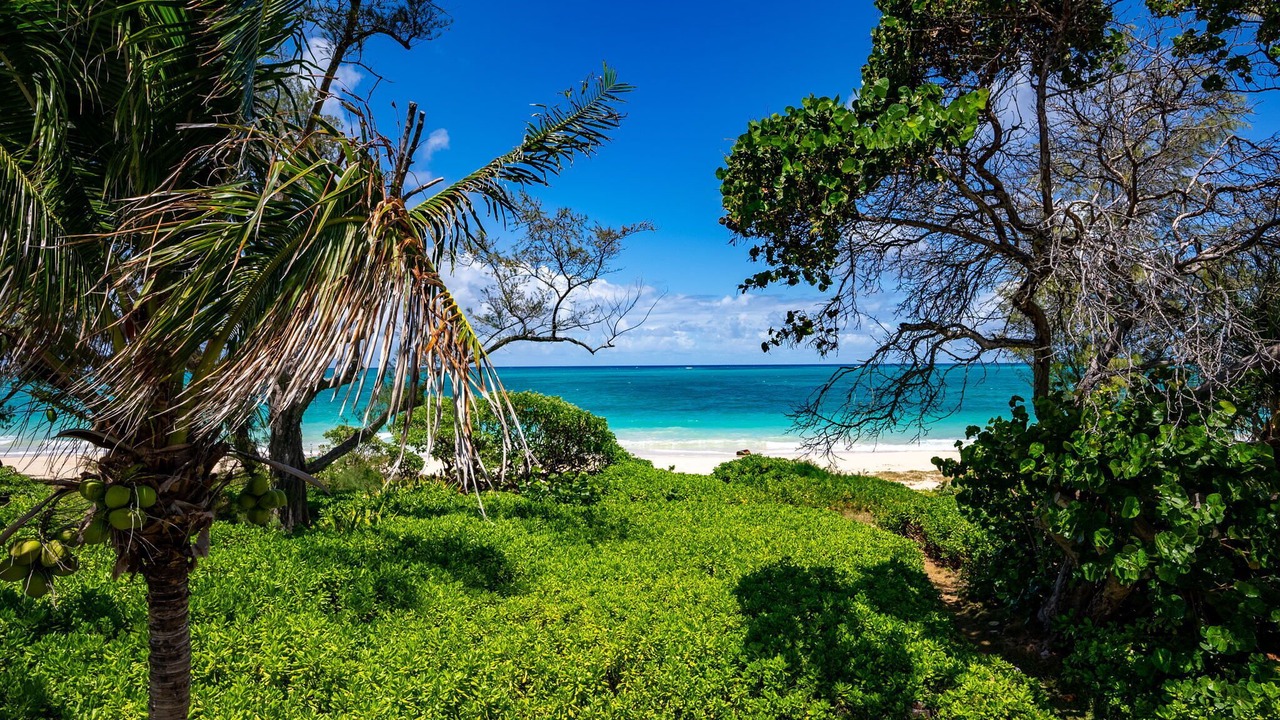 Photo of Others in Waimanalo Beach