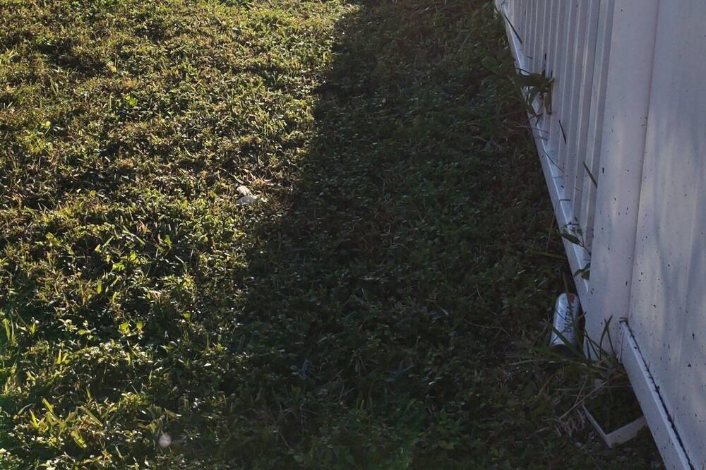 Photo of Outdoor in Capri Isle