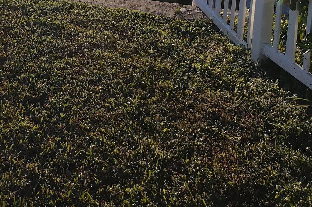 Photo of Outdoor in Capri Isle