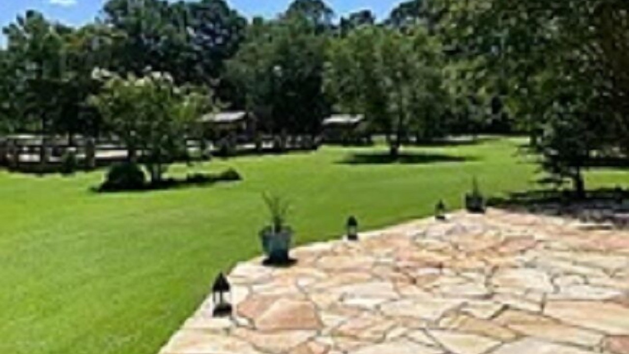 Photo of Outdoor in Loris
