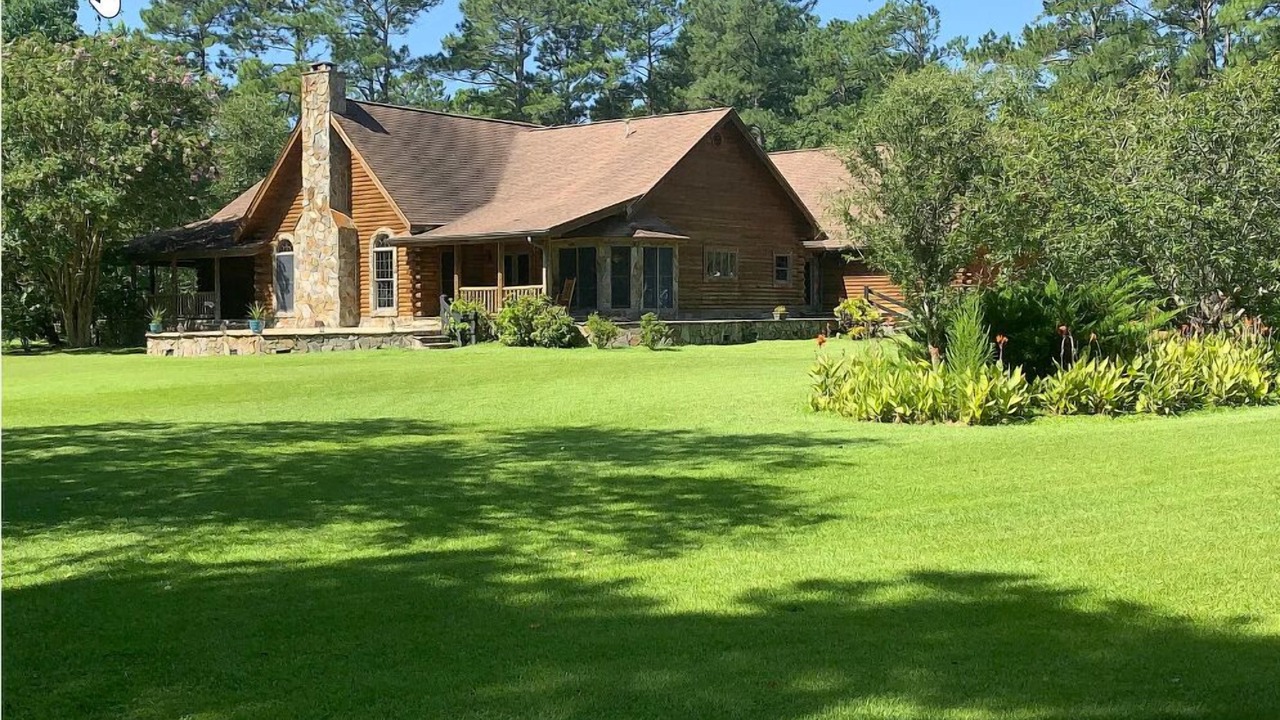 Photo of Outdoor in Loris