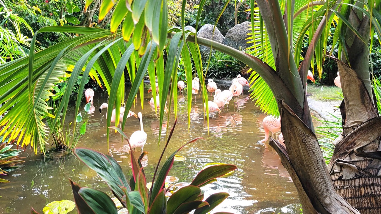 Photo of Outdoor in Tierra Verde