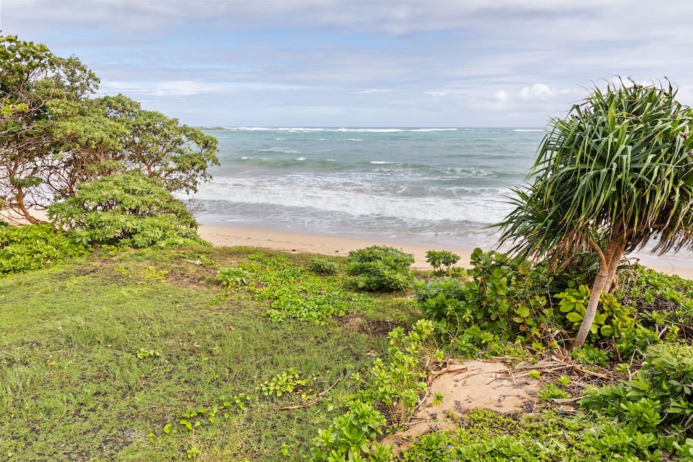 Photo of Others in Kahuku