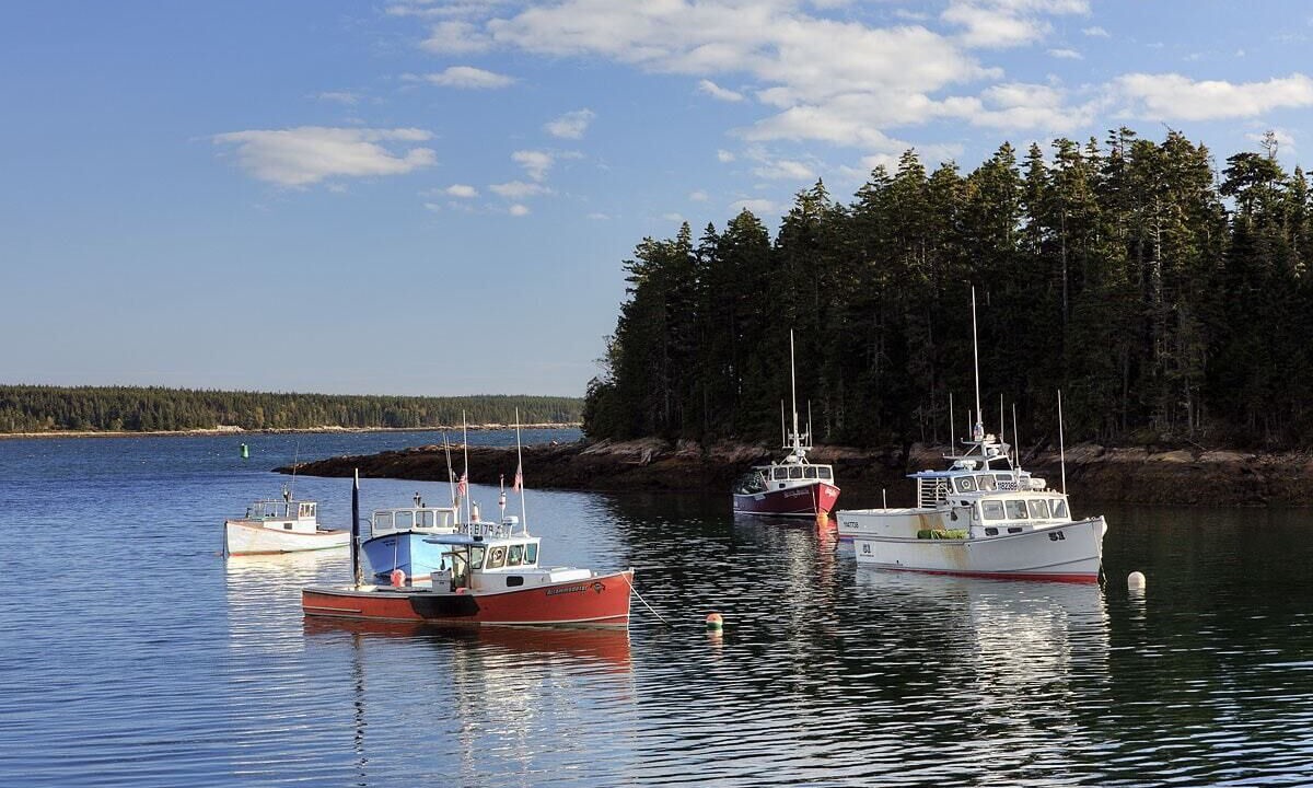Photo of Others in Winter Harbor