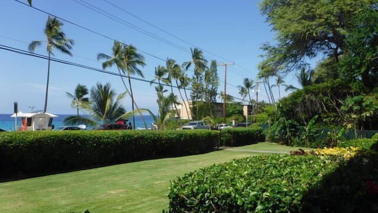Photo of Outdoor in Kahaluu Bay